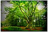 bild 12 - (c) m mueller.jpg